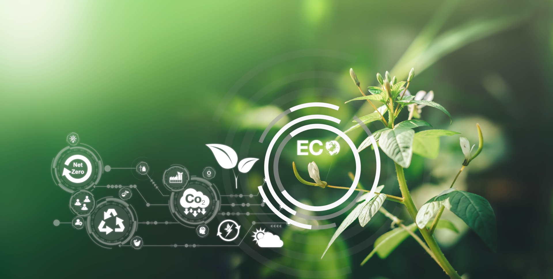 凝聚守護信念，共築永續之圓